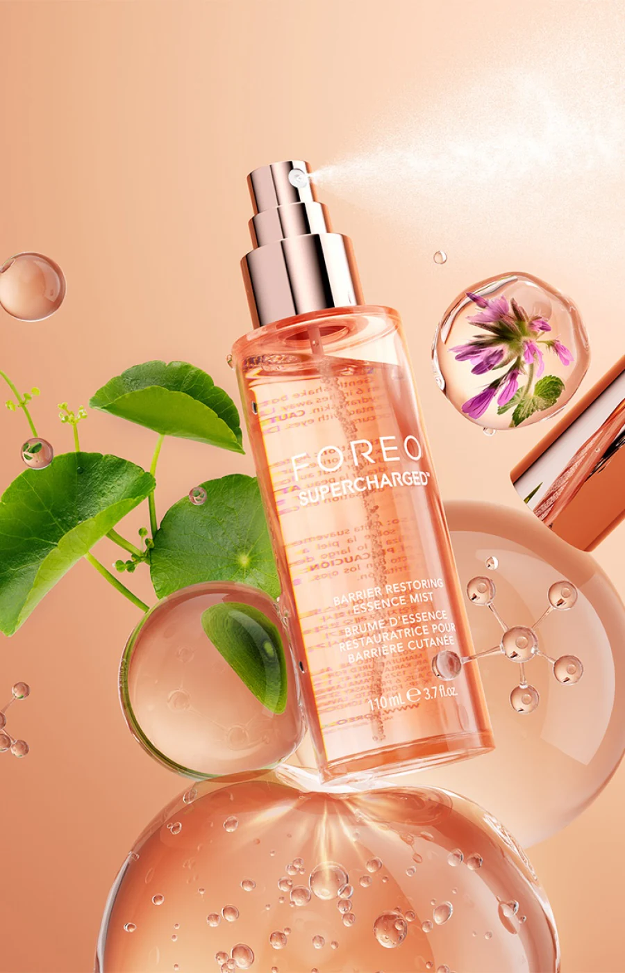 Miniature 4