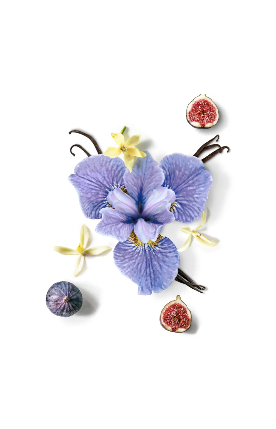 Miniature 3